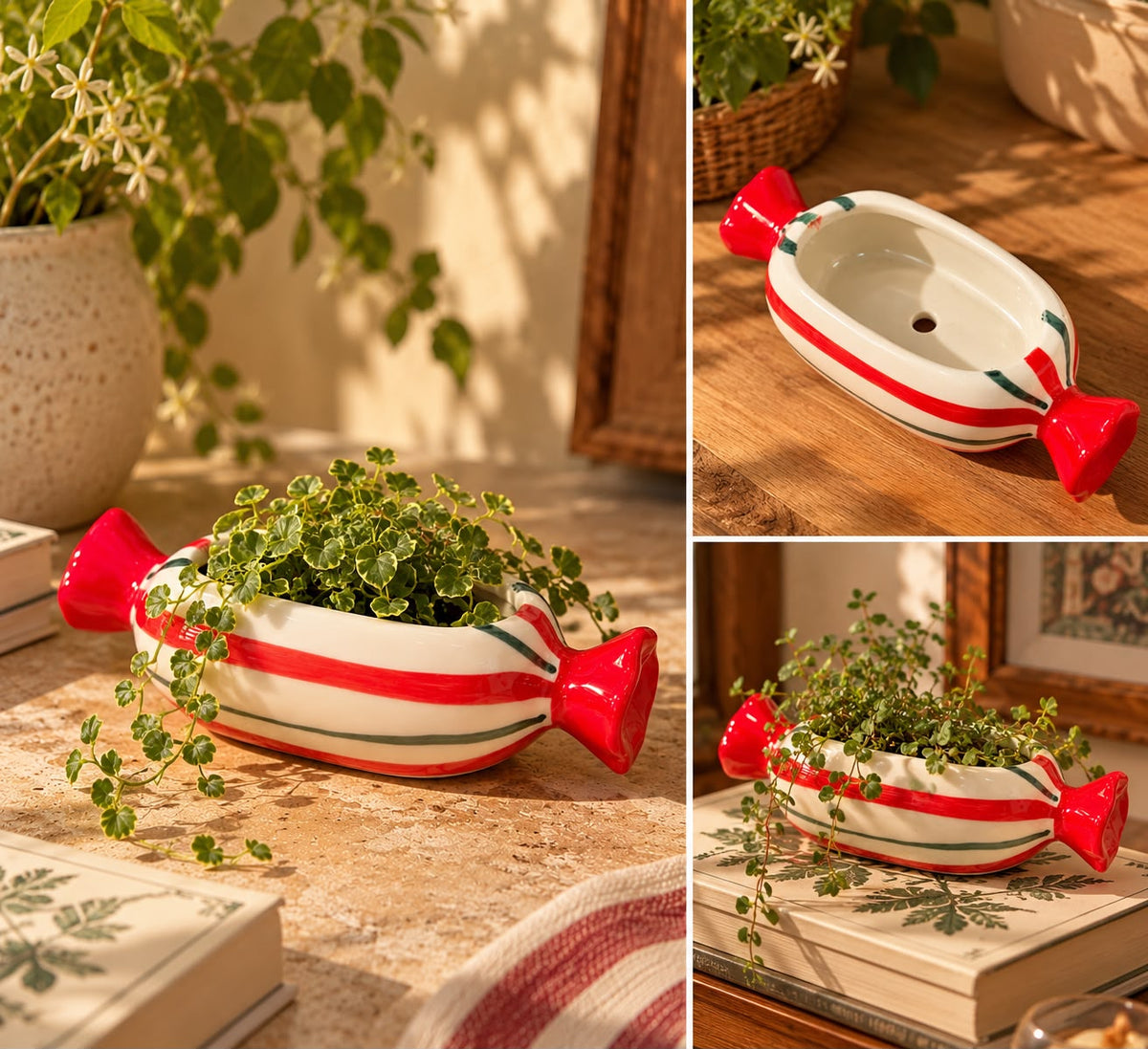 The Mini Toffee Planter