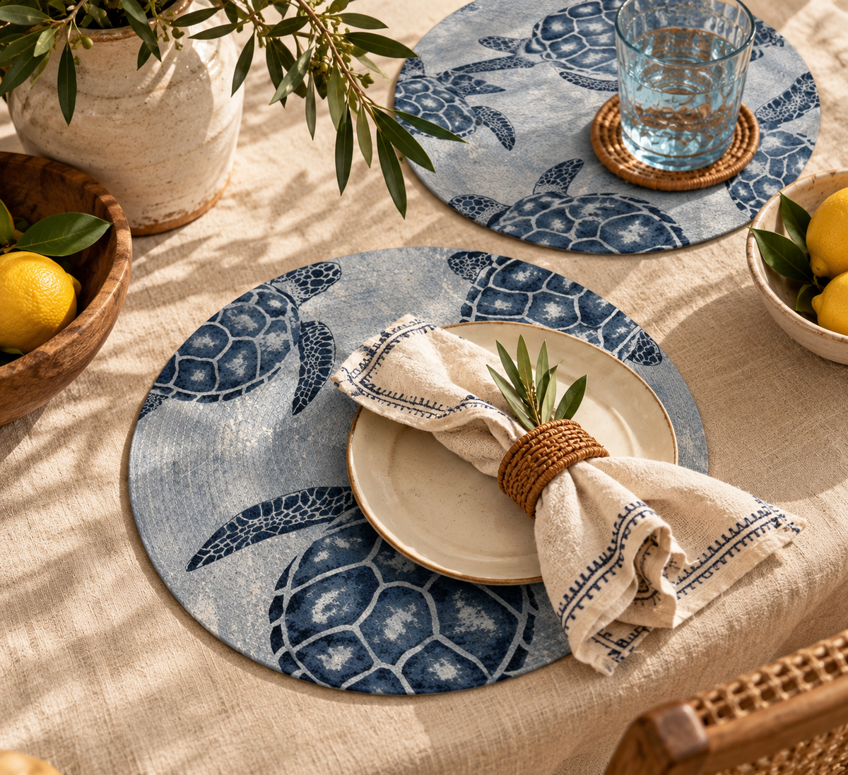 The Turtle Placemats (Set of 2)