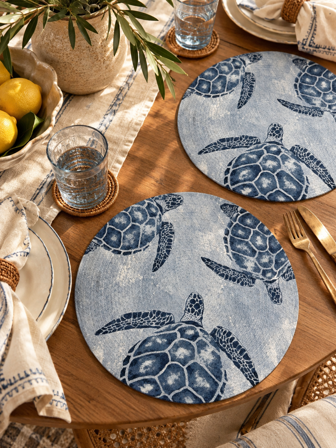 The Turtle Placemats (Set of 2)