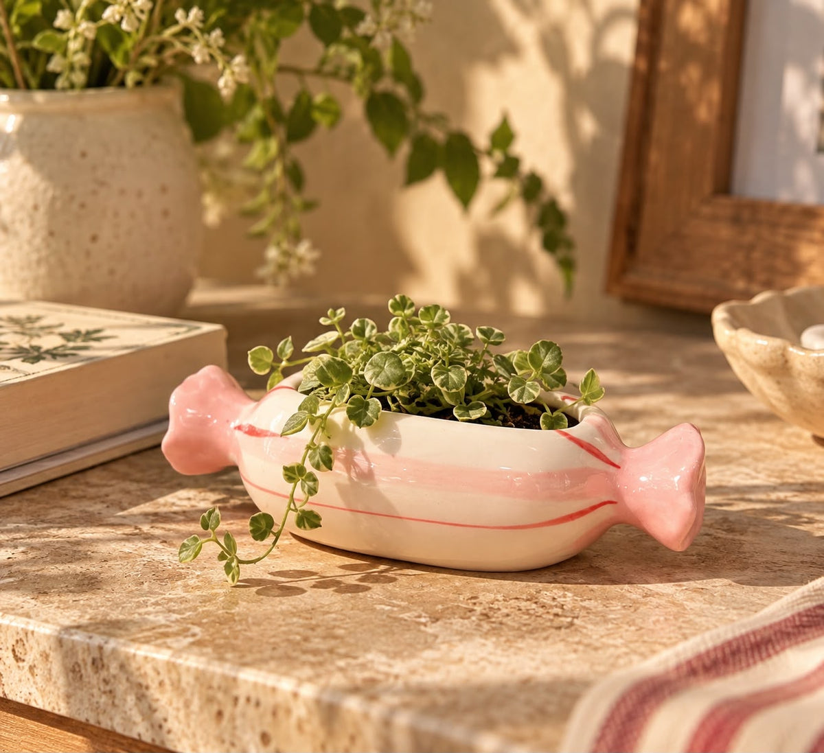The Mini Toffee Planter