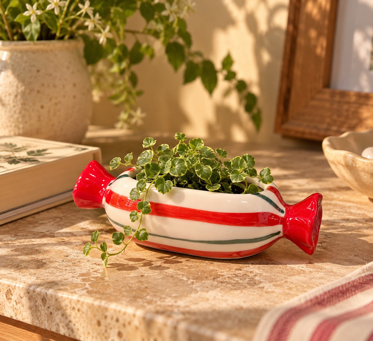 The Mini Toffee Planter